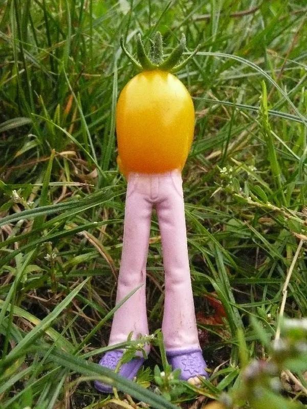 L'image montre une tomate avec des jambes!