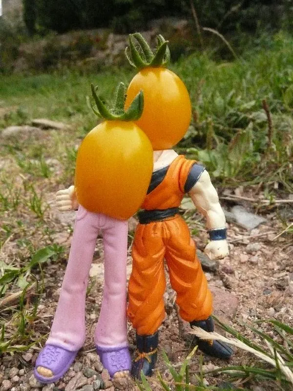 L'image montre deux personnages avec des tête de tomate