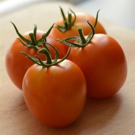 Graines biologiques reproductibles de Tomate "Jaune Flammée" - Pensez Sauvage