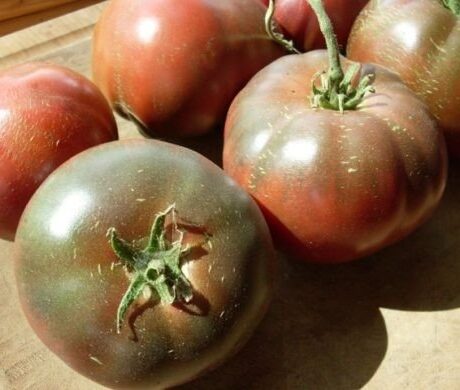 Graines biologiques reproductibles de Tomate "Lila Sari" - Pensez Sauvage