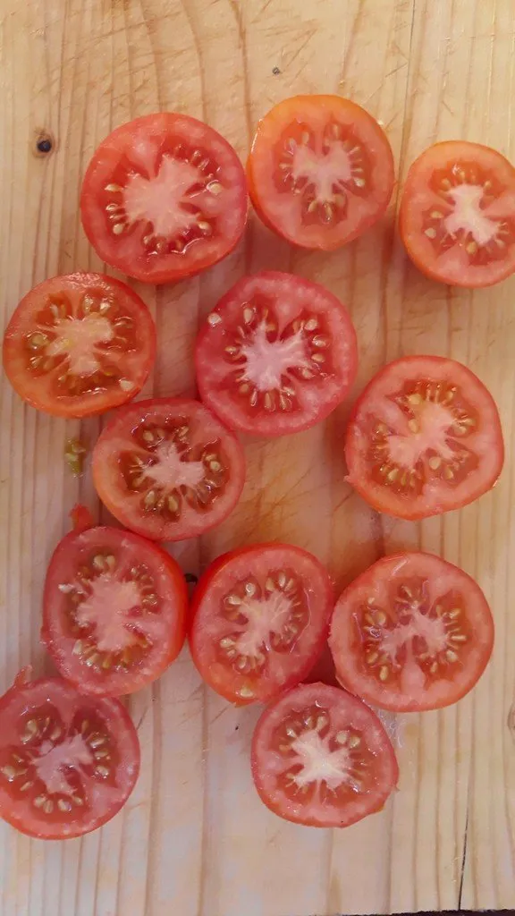 Graines biologiques reproductibles de Tomate "Maremmano" - Pensez Sauvage