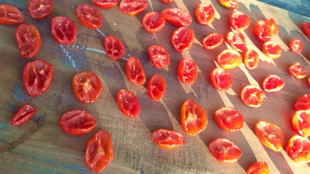 Graines biologiques reproductibles de Tomate "Maremmano" - Pensez Sauvage
