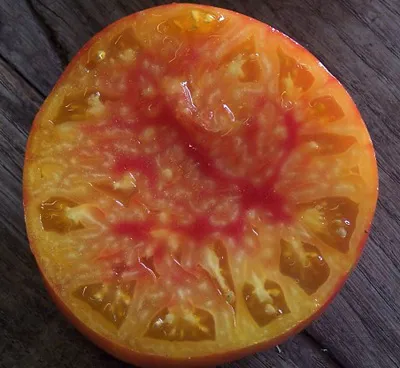 Graines biologiques reproductibles de Tomate "Mary Robinson" - Pensez Sauvage
