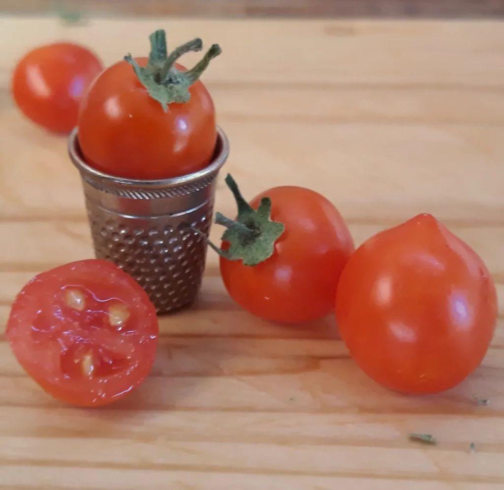 Quatre mini tomate sur une table en bois, une des tomate est dans un dé à coudre