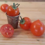 Tomate "Microtom"