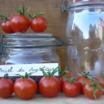 Tomate "Miel du Mexique"
