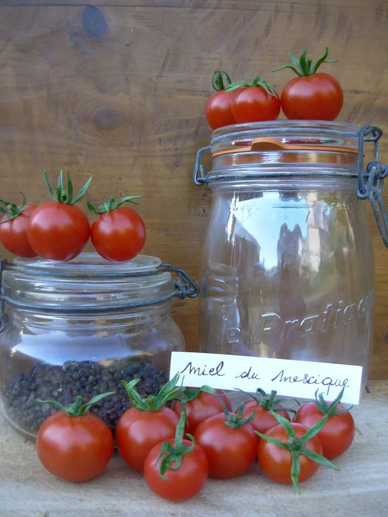 L'image montre des tomates cerises sur des bocaux en verre