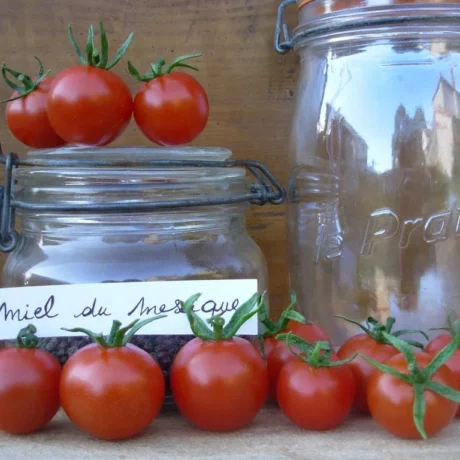 La photo montre des tomates cerises miel du mexique mis en scene avec des bocaux
