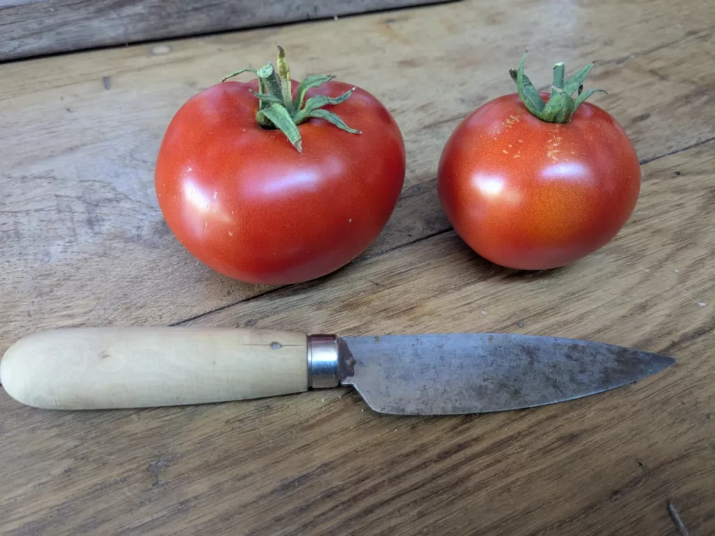 L'image montre deux tomates rouges sur une planche avec un couteau pour montrer leurs tailles.