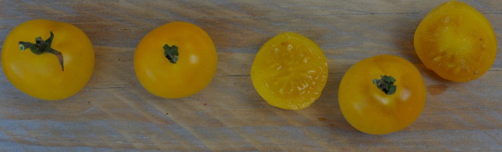 Graines biologiques reproductibles de Tomate "Napa Chardonnay" - Pensez Sauvage