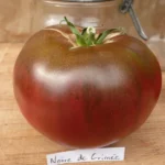 Tomate Noire de Crimée