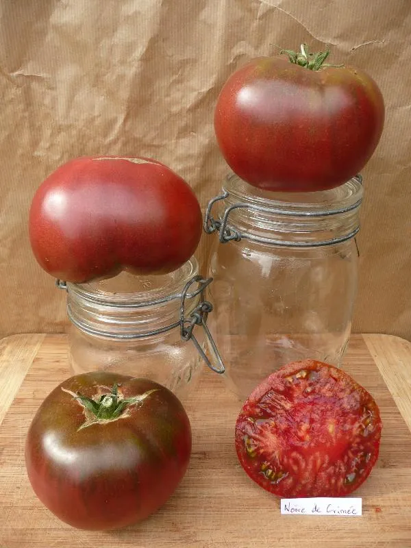 des tomates noires de crimée a coté de bocaux pour l'échelle