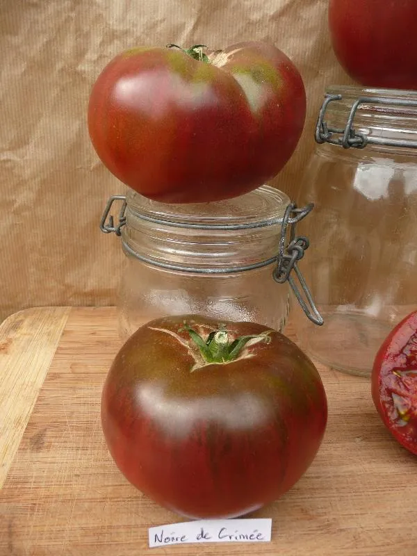 des tomates noires e crimée et des bocaux pour l'échelle