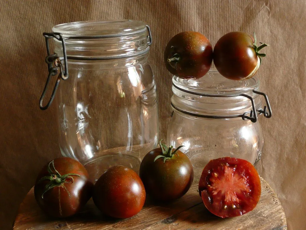 Graines biologiques reproductibles de Tomate "Nyagus" - Pensez Sauvage