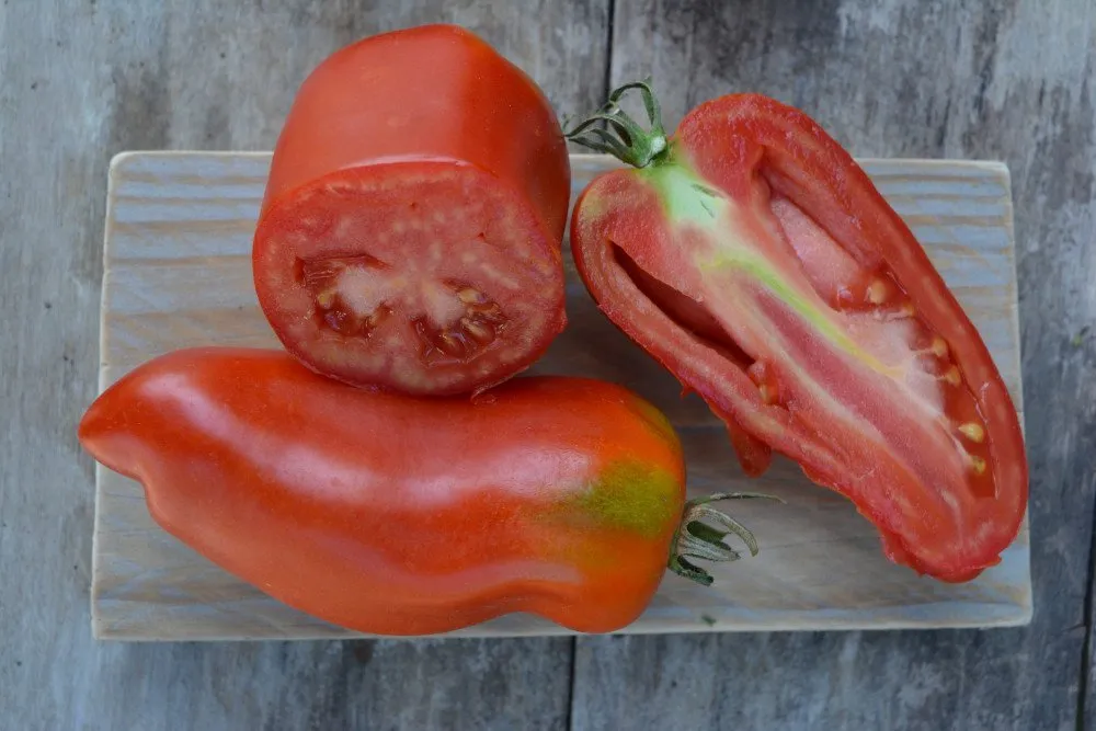 des tomates opalka coupées sur une planche