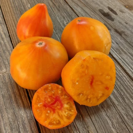L'image montre plusieurs tomates "Oxheart Striped" mises en scène sur une planche en bois