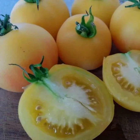 Quelques tomates Peche Blanche en groupe
