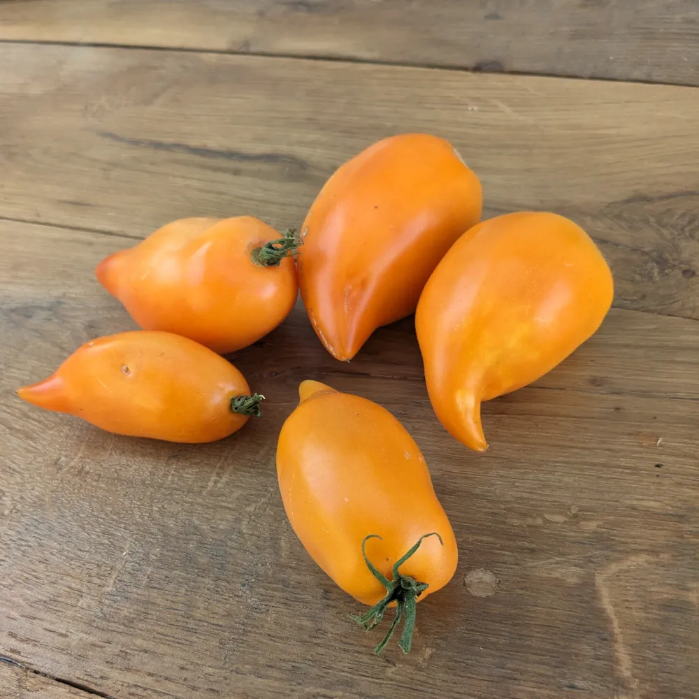 Cinq tomates sur une table en bois, les tomates sont posées de façon aléatoire ce qui donne un coté bien sympa à la photo