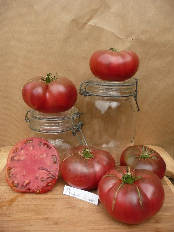 Graines biologiques reproductibles de Tomate "Prudens purple" - Pensez Sauvage
