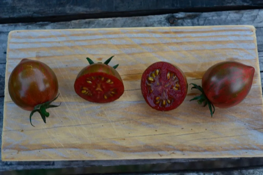 Graines biologiques reproductibles de Tomate "Purple Bumble Bee" - Pensez Sauvage