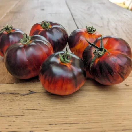 Quelques tomates disposées ça et là sur une table en bois de chêne clair et vernis