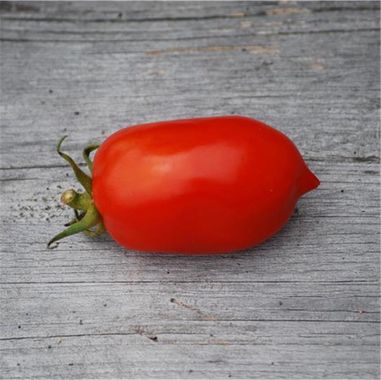 Graines biologiques reproductibles de Tomate "Roma" - Pensez Sauvage