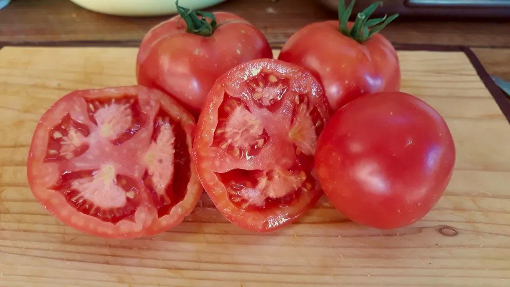 Graines biologiques reproductibles de Tomate "Rose de Berne" - Pensez Sauvage