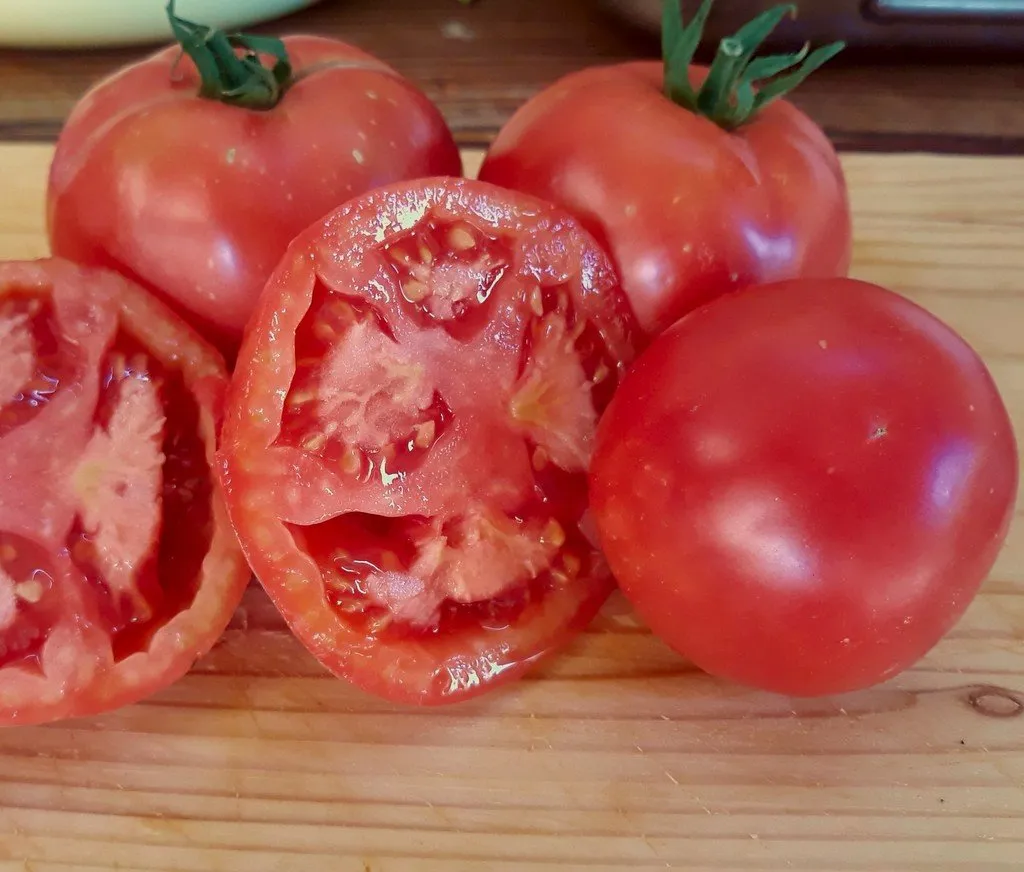 Graines biologiques reproductibles de Tomate "Rose de Berne" - Pensez Sauvage