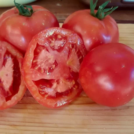 Graines biologiques reproductibles de Tomate "Rose de Berne" - Pensez Sauvage