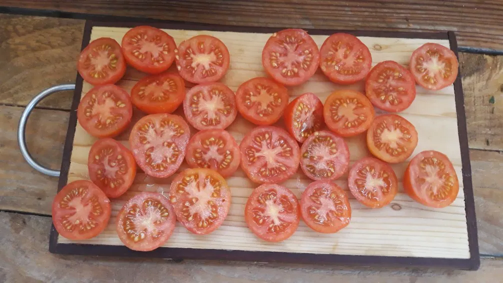 Graines biologiques reproductibles de Tomate "Sasha Altaï" - Pensez Sauvage