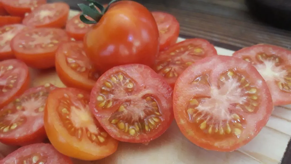 Graines biologiques reproductibles de Tomate "Sasha Altaï" - Pensez Sauvage