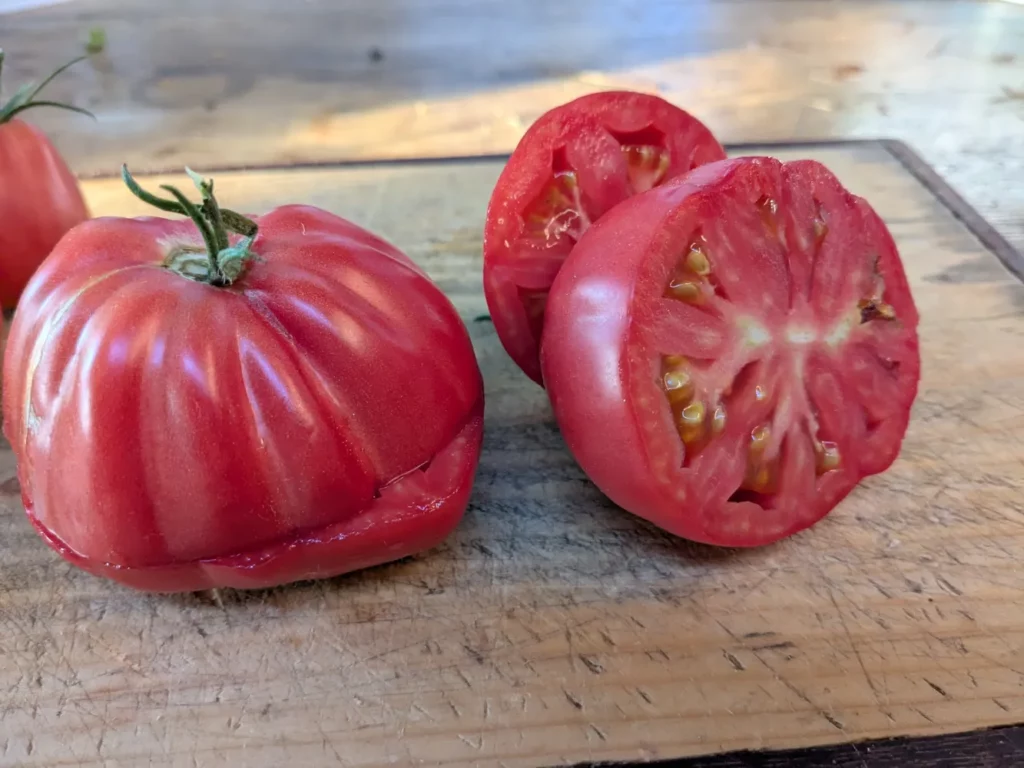Trois tomates rouges Sharpei, côtelées et dodues, posées sur une planche en bois claire.