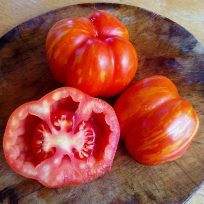 Graines biologiques reproductibles de Tomate "Striped Hollow" - Pensez Sauvage