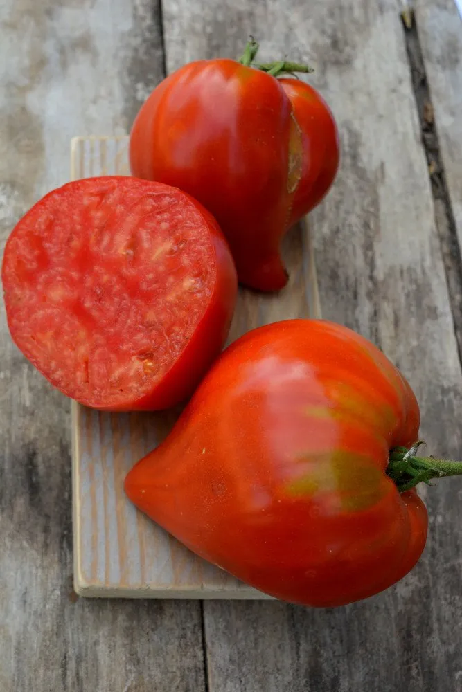 L'image montre plusieurs tomates "Téton de Vénus" mises en scène sur une planche en bois