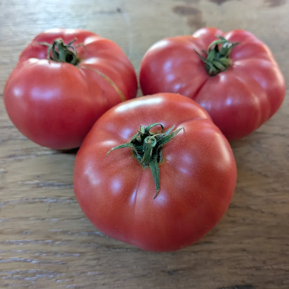 L'image montre trois tomate Ukrainian Size Pink sur une table