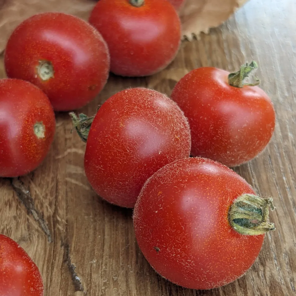 on voit une poignée de tomates cerise rouges et duveteuses sur une table en bois clair
