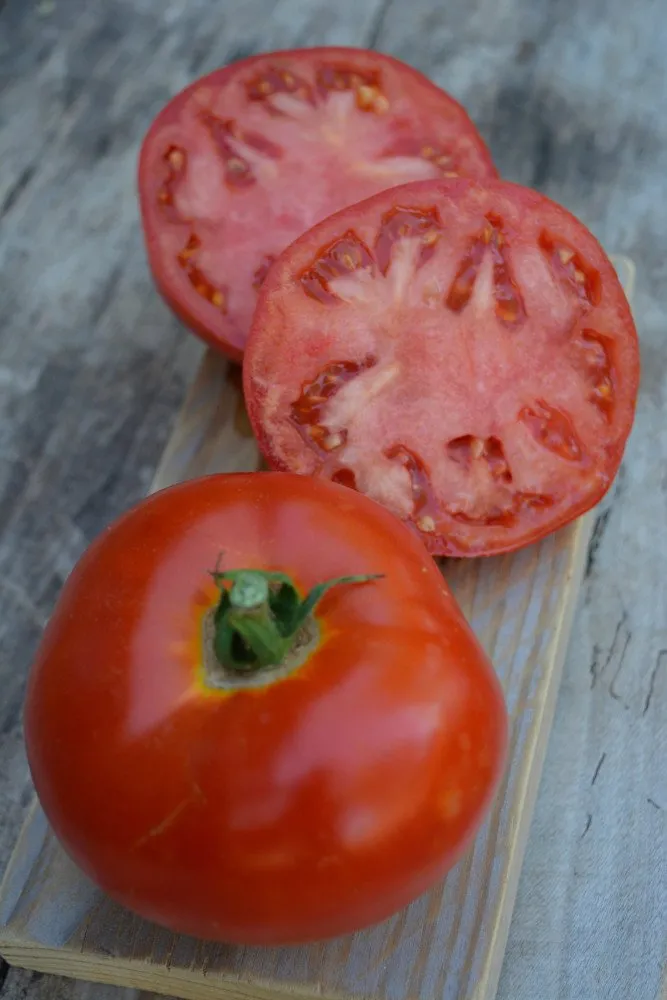 Des tomates sur une planche en bois