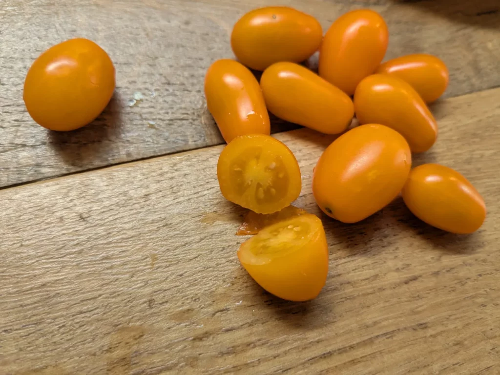 L'image montre un petit tas de tomates cerises jaunes, ce sont des tomates Yellow dates