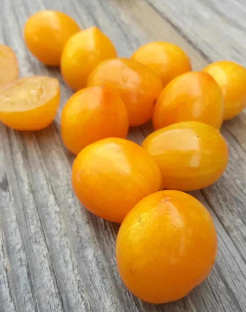 La photo montre des tomates yellow tigerette cherry sur une planche en bois